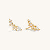 Stud Earrings